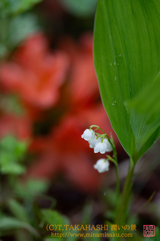 ../Images/7R240602 (149).jpg
